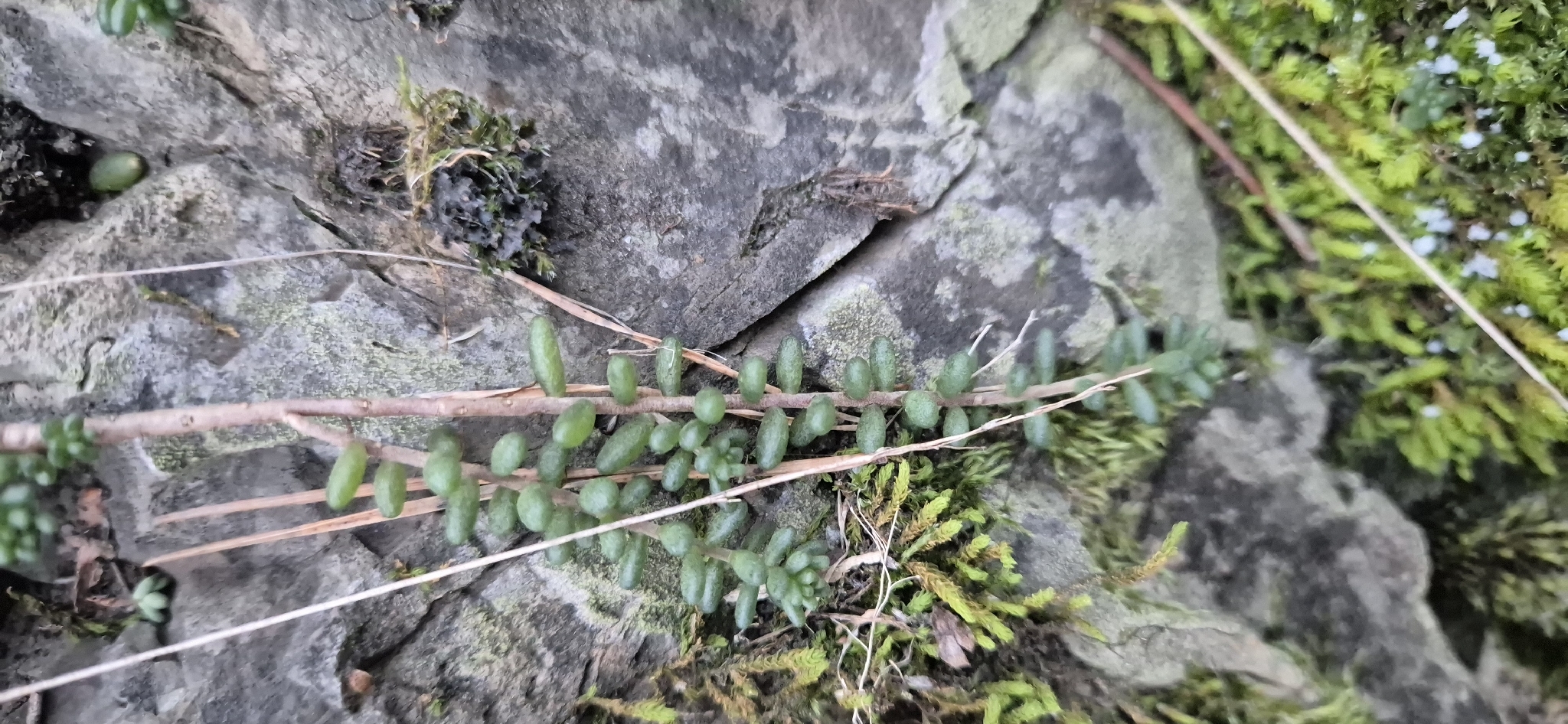 黄丽照片3