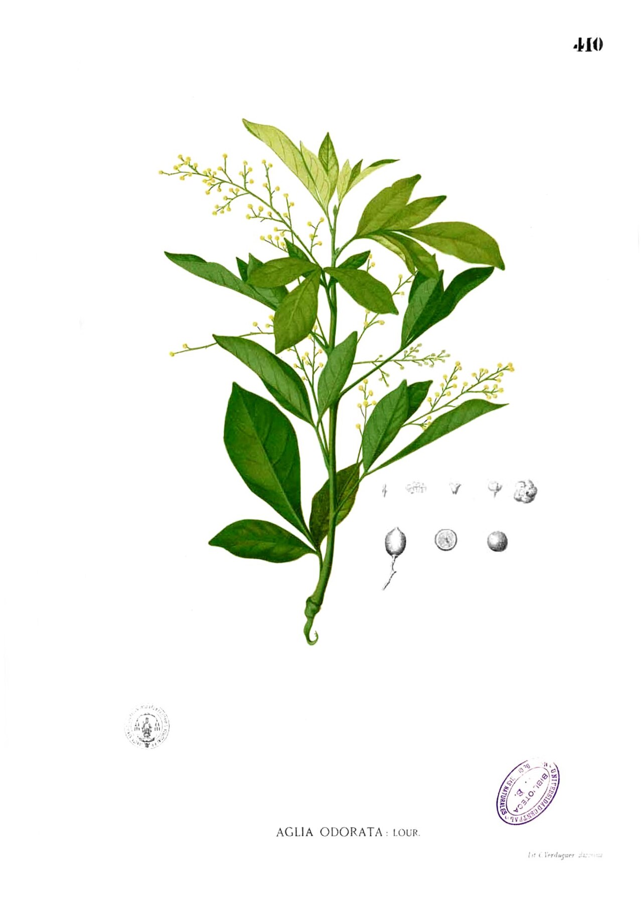 米兰照片3